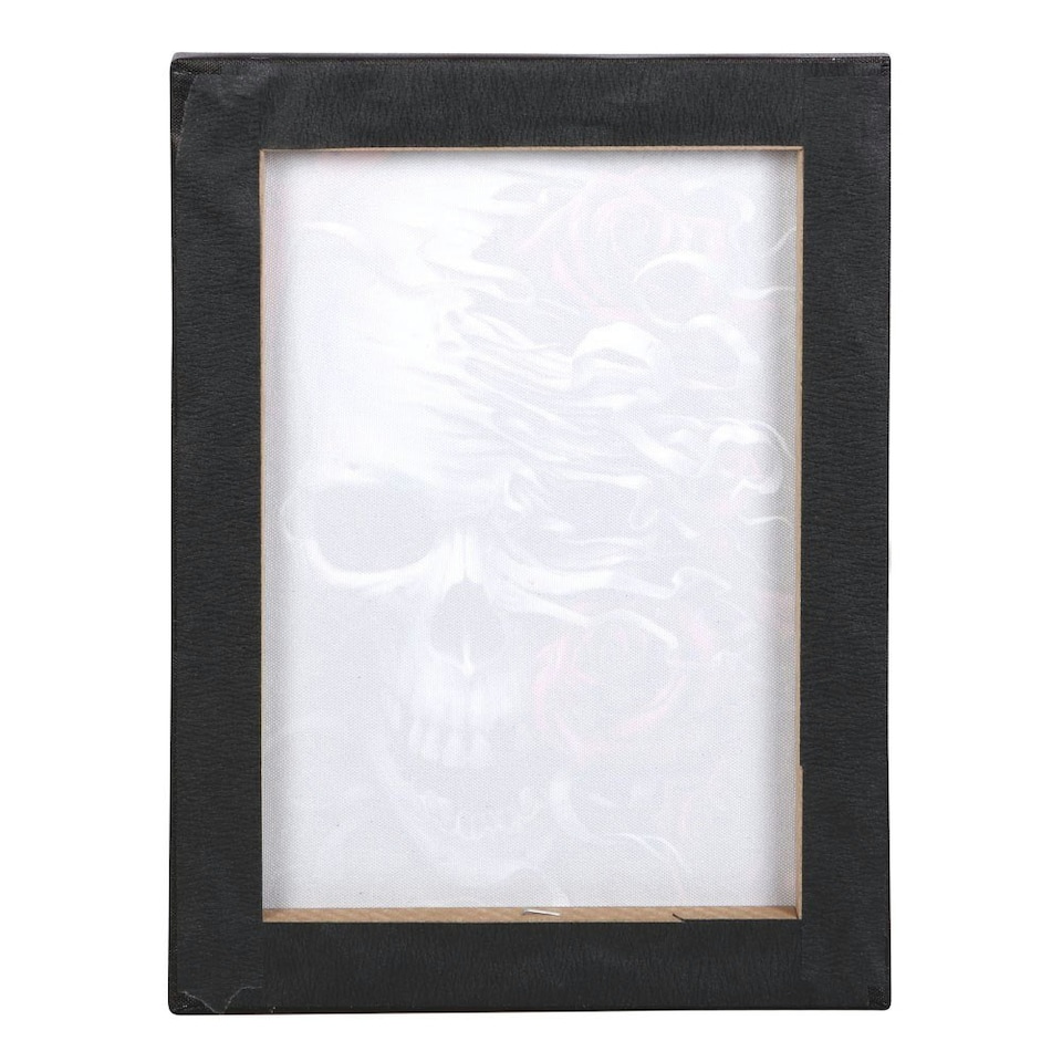 image 1 of Spiral Direct Skull And Roses Canvas Plaque - Black/White/Red - One Size