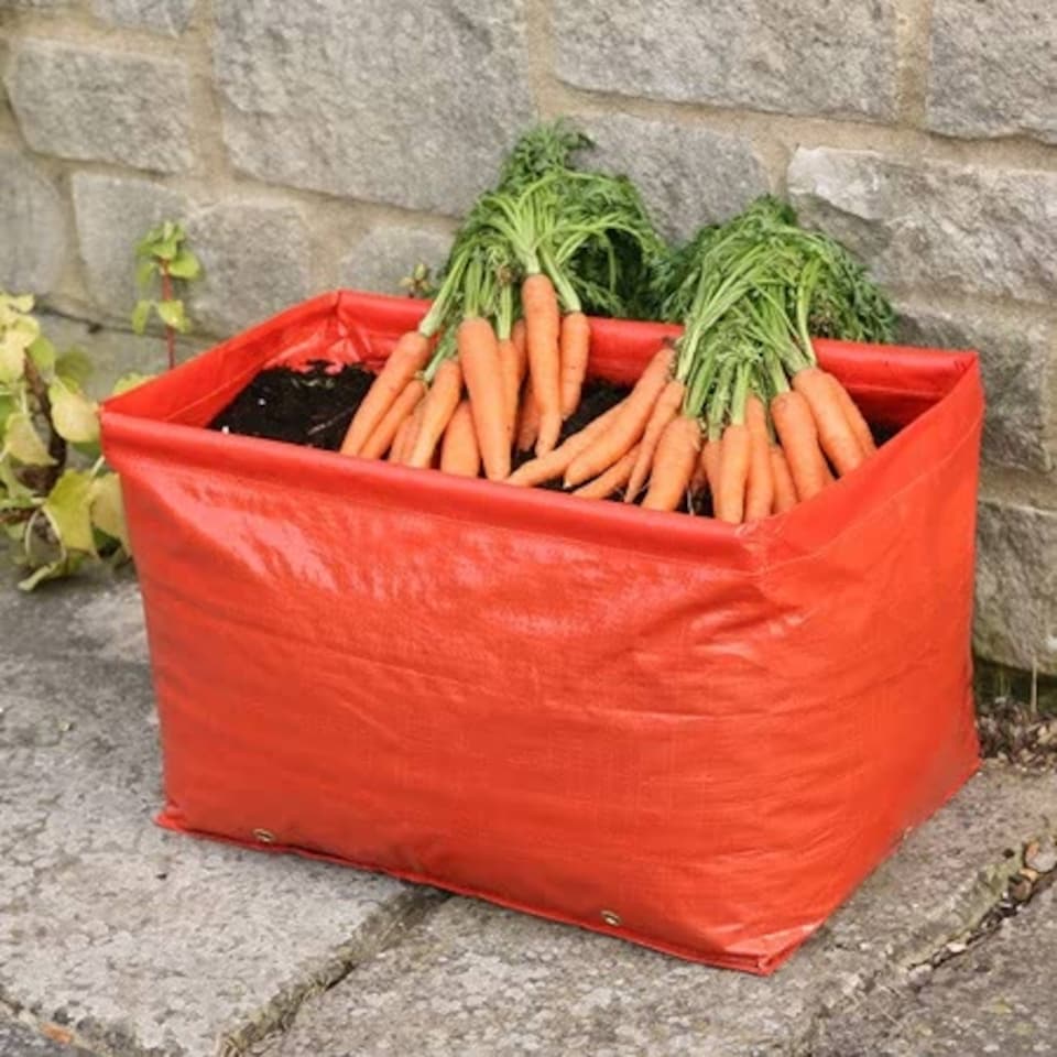 image 1 of Marshalls Garden Carrot Patio Planter Bags - Pair, Orange - 30 cm Deep