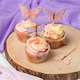 image 4 of Butterfly Paper Cupcake Cases - Pack of 60