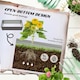 image 4 of Outsunny Set of 2 Raised Garden Bed Galvanised Planter Box, Grey