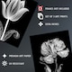 image 4 of Set of 3 Elegant Single Tulip Daisy Rose Spring Flowers Black White Floral Artworks Wall Art Prints 12X16 Inch