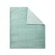 image 1 of BHS Jumbo Cord Throw with Plain Velvet Backing | Green | Green | 1