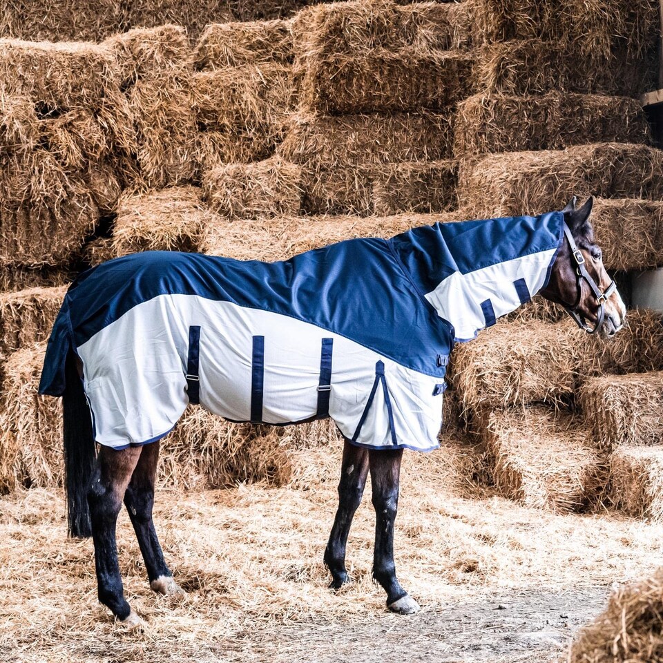 image 1 of eQuitack 600D 2 in 1 Waterproof Fly Turnout Mesh Horse Rug Fixed Neck Navy/Silver 6'0''