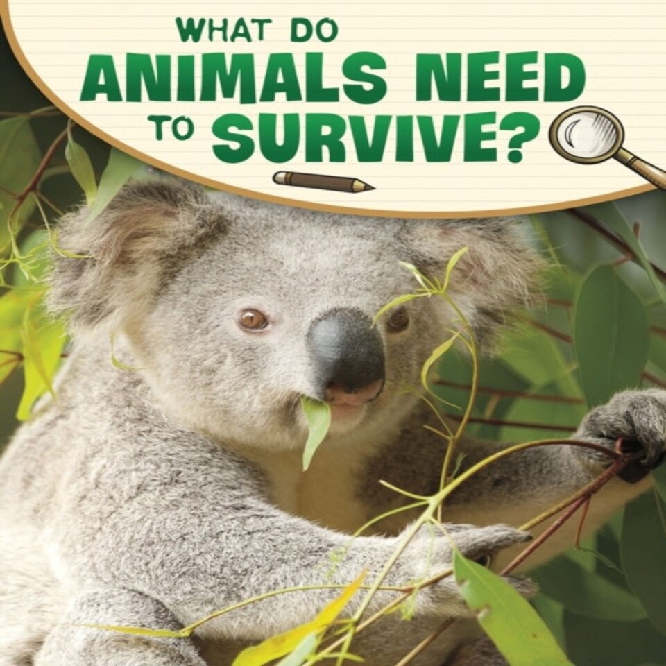 What Do Animals Need To Survive