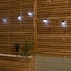 image 10 of Set of 20 Indoor Outdoor Connectable Party Festoon Lights with Cool White LEDs