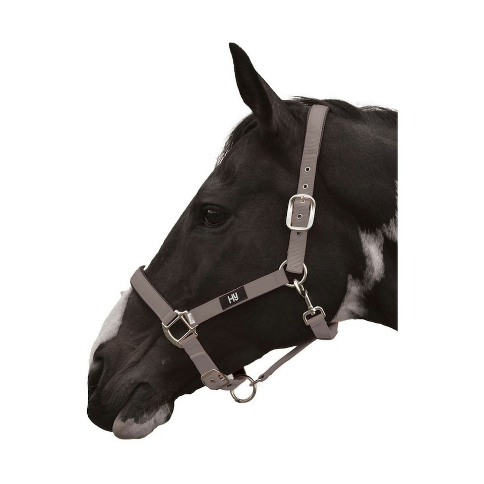 Hy Grand Prix Head Collar - Grey - Pony