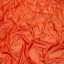 Burnt Orange