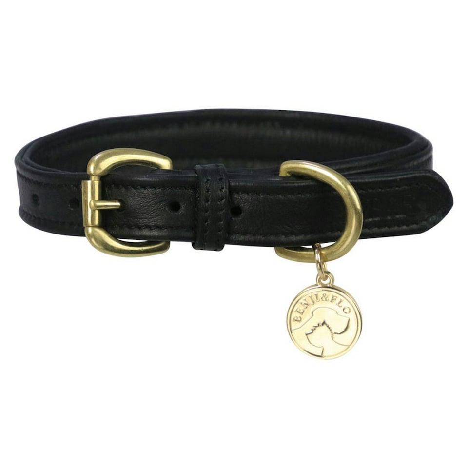 Benji & Flo Deluxe Leather Padded Dog Collar - Black/Brass - M- Length: 35cm-50cm