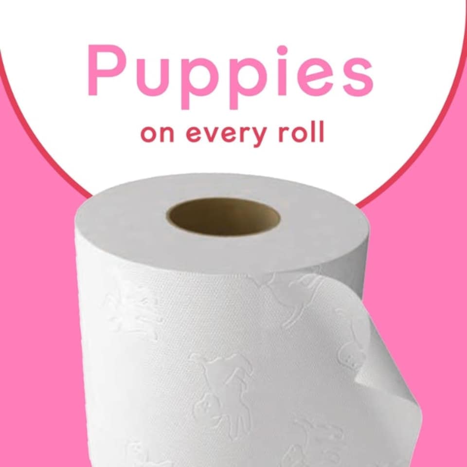 image 1 of Andrex Family Soft Toilet Tissue 72 Rolls (Previously Andrex Gentle Clean) Gentle on your FamilyÕs skinÐ Bulk Pack of 72 Toilet Rolls, FSC Certified