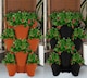 image 1 of Trio Stackable Stacking Strawberry Planter Plant Flower Pot Herb Garden Patio UK | Orange