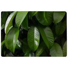 Closeup of beautiful glossy green leaves (Rug) Green | S
