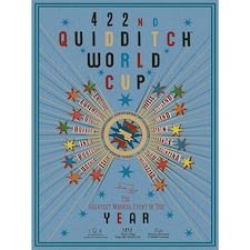 Harry Potter (Quidditch World Cup) 60x80x4cm Stretched Canvas Print