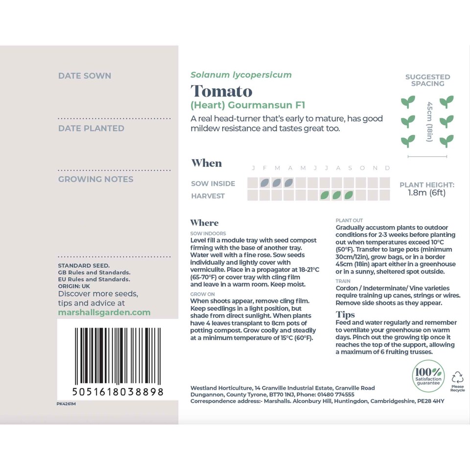 image 1 of Marshalls Garden Tomato Seeds 'Gourmansun' F1 (6 Seeds) | Green | Green, Yellow, Orange