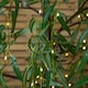 image 8 of 7ft (2.1m) Tall Light up Christmas Willow Tree with 384 Warm White LEDs
