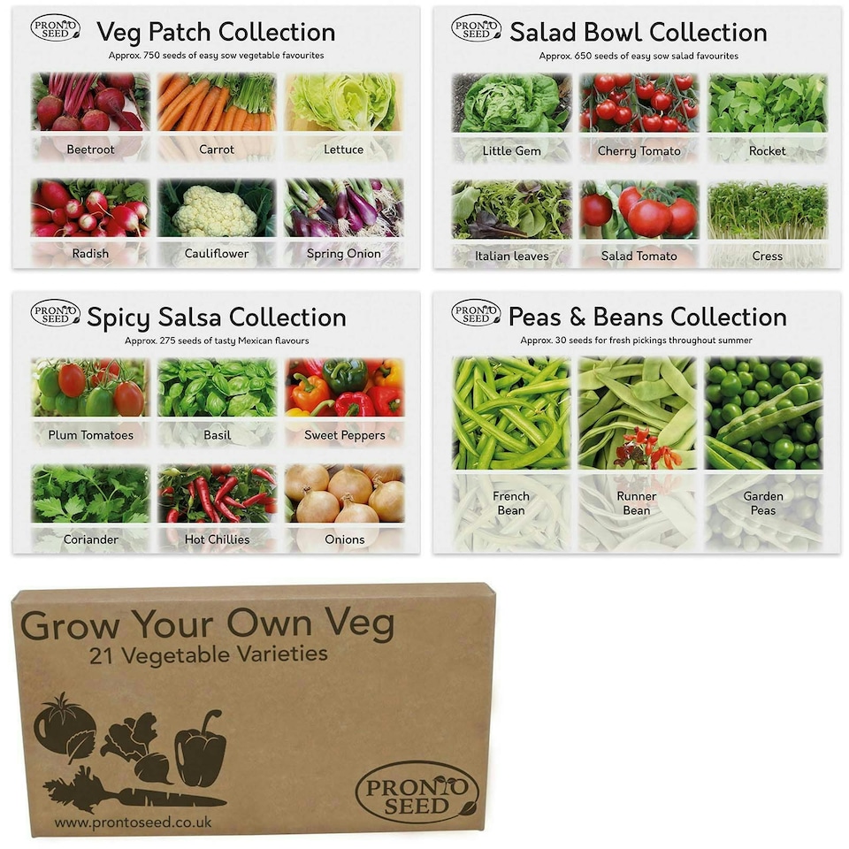 image 1 of Pronto Seed Vegetable Seeds Bumper Pack – 21 Popular Varieties, Over 1,700 Seeds for Growing Your Own Veg