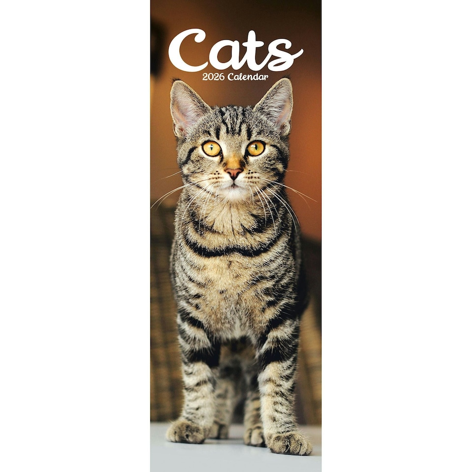 image 1 of Cats Slim 2026 Calendar | Slimline Wall Calendar | Cat Gift | Plastic Free Packaging | by Avonside Publishing [Calendar] Avonside Publishing Ltd