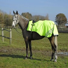 Rhinegold Waterproof Cutaway Ride On Rug Yellow | Colour: Bright Yellow
Size: Cob