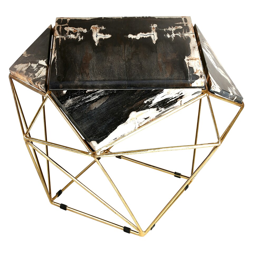 image 1 of Distinctive Dark Petrified Wood Coffee Table, Natural Design Modern Coffee Table, Elegant Decorative Table | Brown