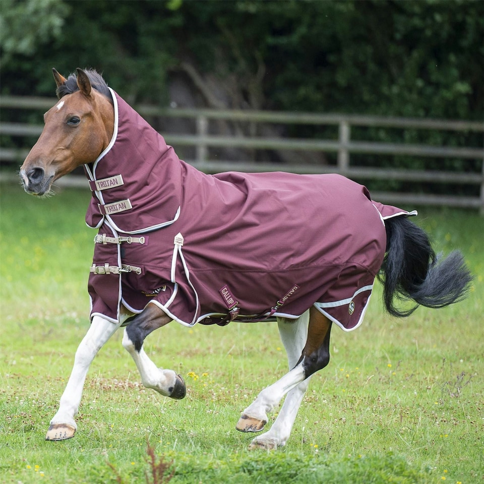 image 1 of Gallop Equestrian Trojan Xtra 100 Turnout Combo Red | Size: 6ft 3
Colour: Burgundy