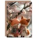 image 1 of Cute Felt Couple Under Cherry Blossom Tree Birthday Card
