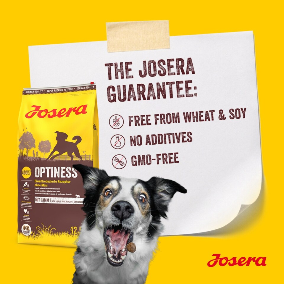 image 1 of Josera Adult Optiness complete dog food | With Chicken & Lamb | Medium & large breeds | Cardiac support | Joint support | Green-Lipped Mussel Meat | 3kg