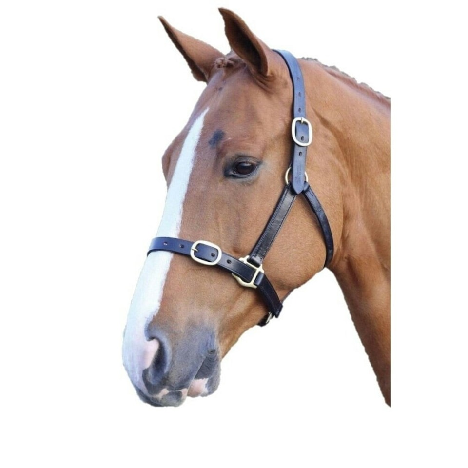 Blenheim Leather Adjustable Horse Headcollar - Black - X Full