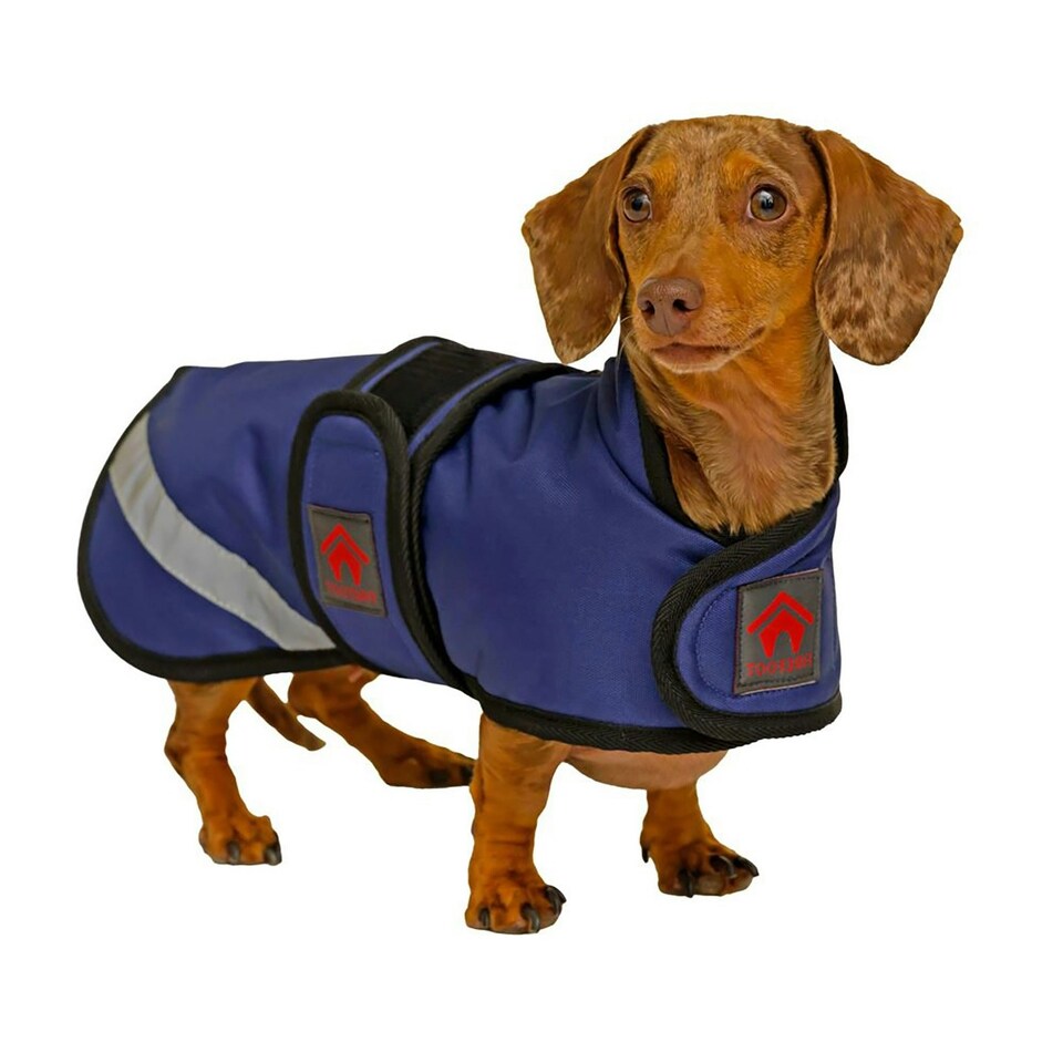 image 1 of Firefoot Dachshund Fleece Lined Outdoor Dog Coat - Navy - M-16cm