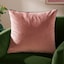 Blush/Teal