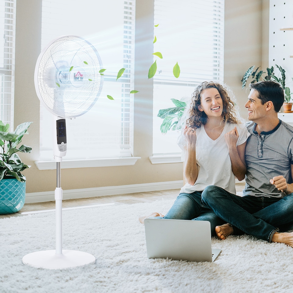 image 1 of HOMCOM 16 Pedestal Stand Fan, 3 Speed 3 Mode, 85 Degree Oscillation, LED Panel, 3M Remote Controller, Height Adjustable for Living Room, Bedroom, Garage, Office, Black and White