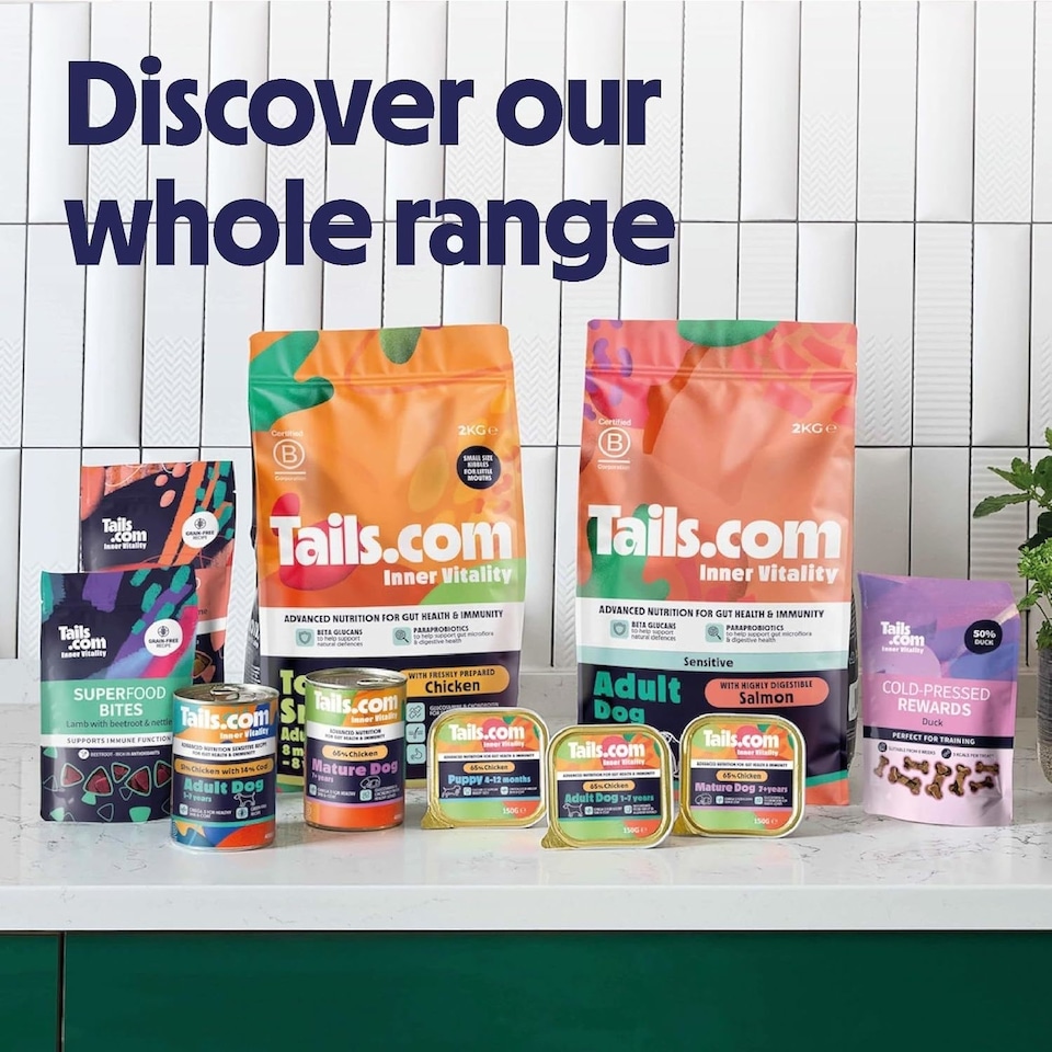 image 1 of 33 x 150g Tails.com Inner Vitality Grain-Free Adult Wet Dog Food Trays Beef