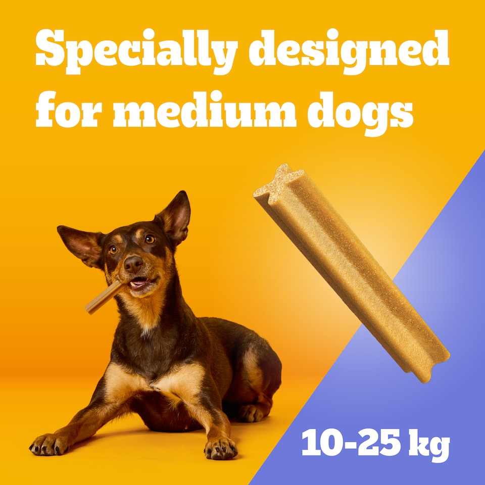 image 1 of 112 Pedigree Daily Dentastix Dental Sticks Dog Treats Medium Dog Chews