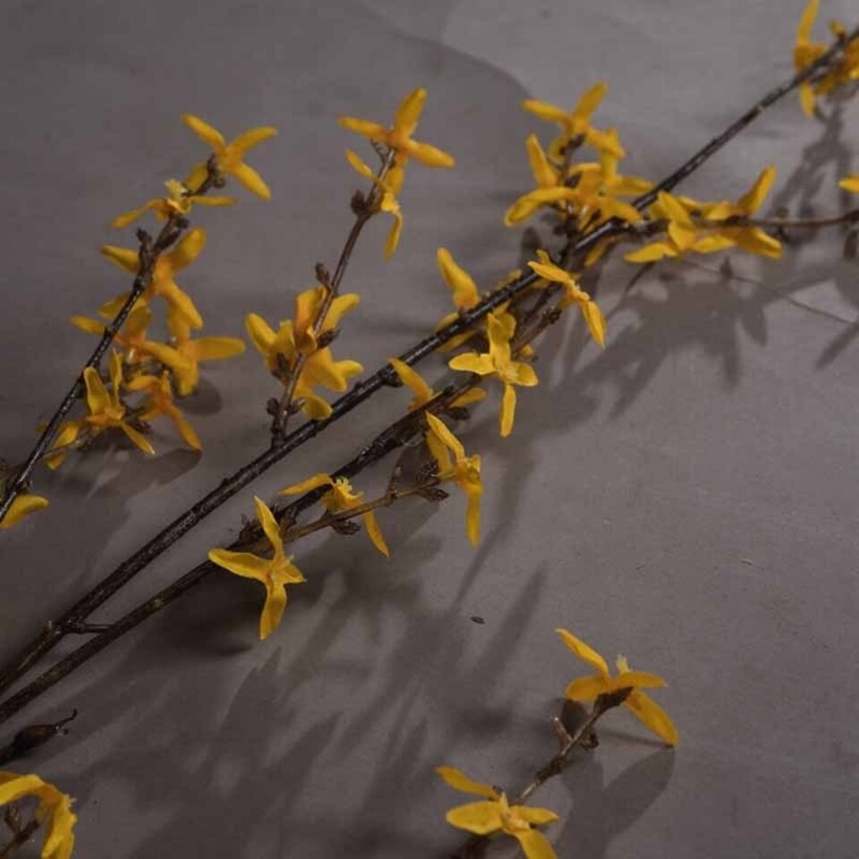 image 1 of Forsythia Branch Artificial Plant - Fabric/Plastic - L15 x W35 x H108 cm - Yellow