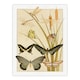 image 3 of Maurice Pillard Verneuil Framed Wall Art Butterflies and Dragonflies Home Décor