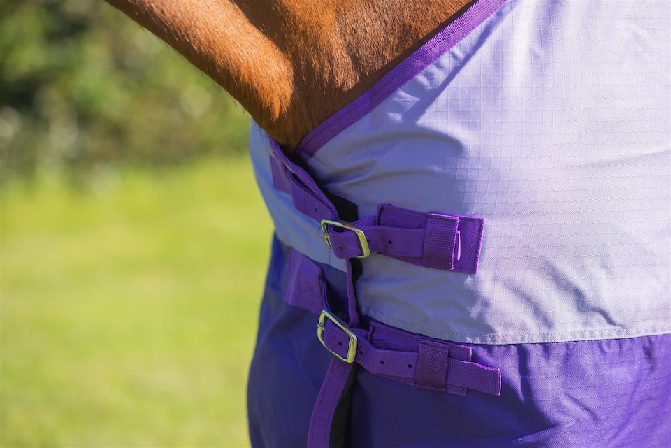 image 1 of eQuitack 600D Waterproof Horse Turnout Rug 50g Fill Regular Neck Lavender/Purple 6'6''