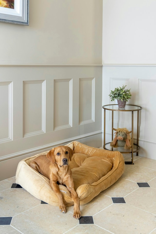image 1 of Mustard Velvet Square Bed - Extra Large