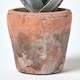 image 4 of Homescapes Aloe Vera Artificial Succulent in Decorative Rustic Terracotta Pot, 21 cm Tall