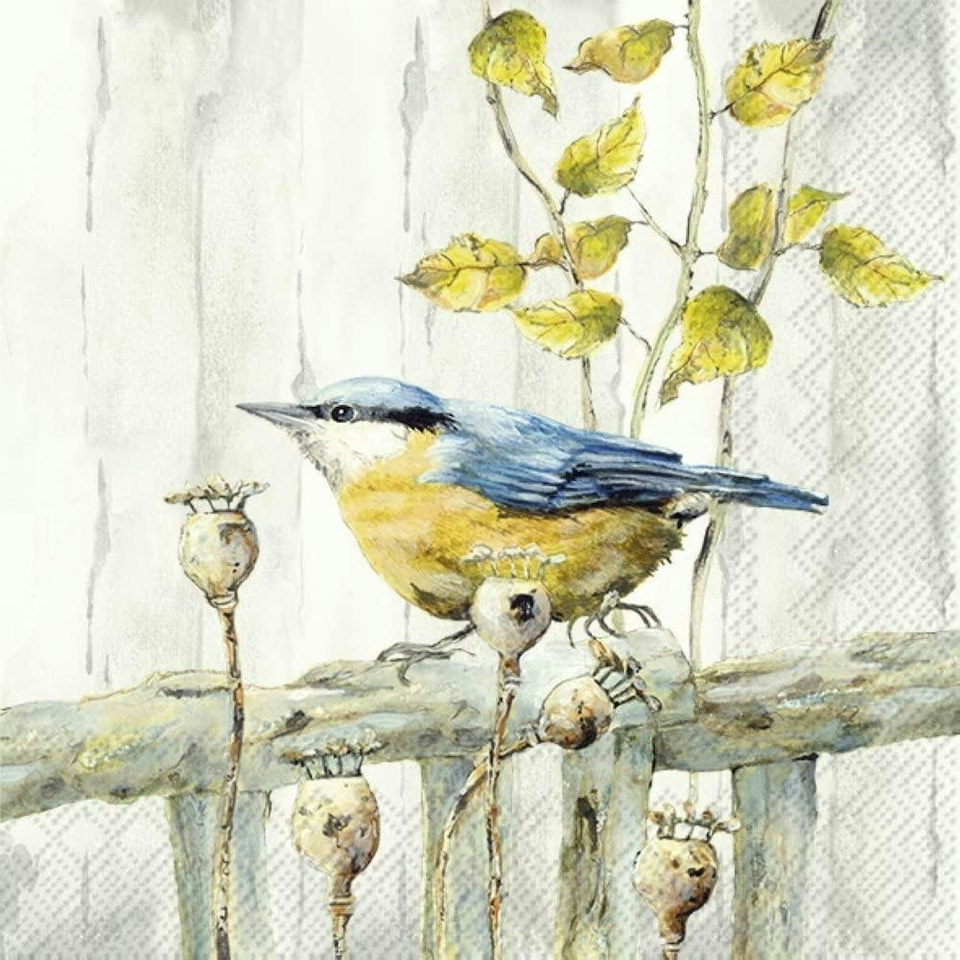 IHR Kantori Cream Cocktail Napkins 25cm 3ply 20 Pack