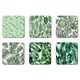 image 1 of Botanical Summer Collection (Coaster)