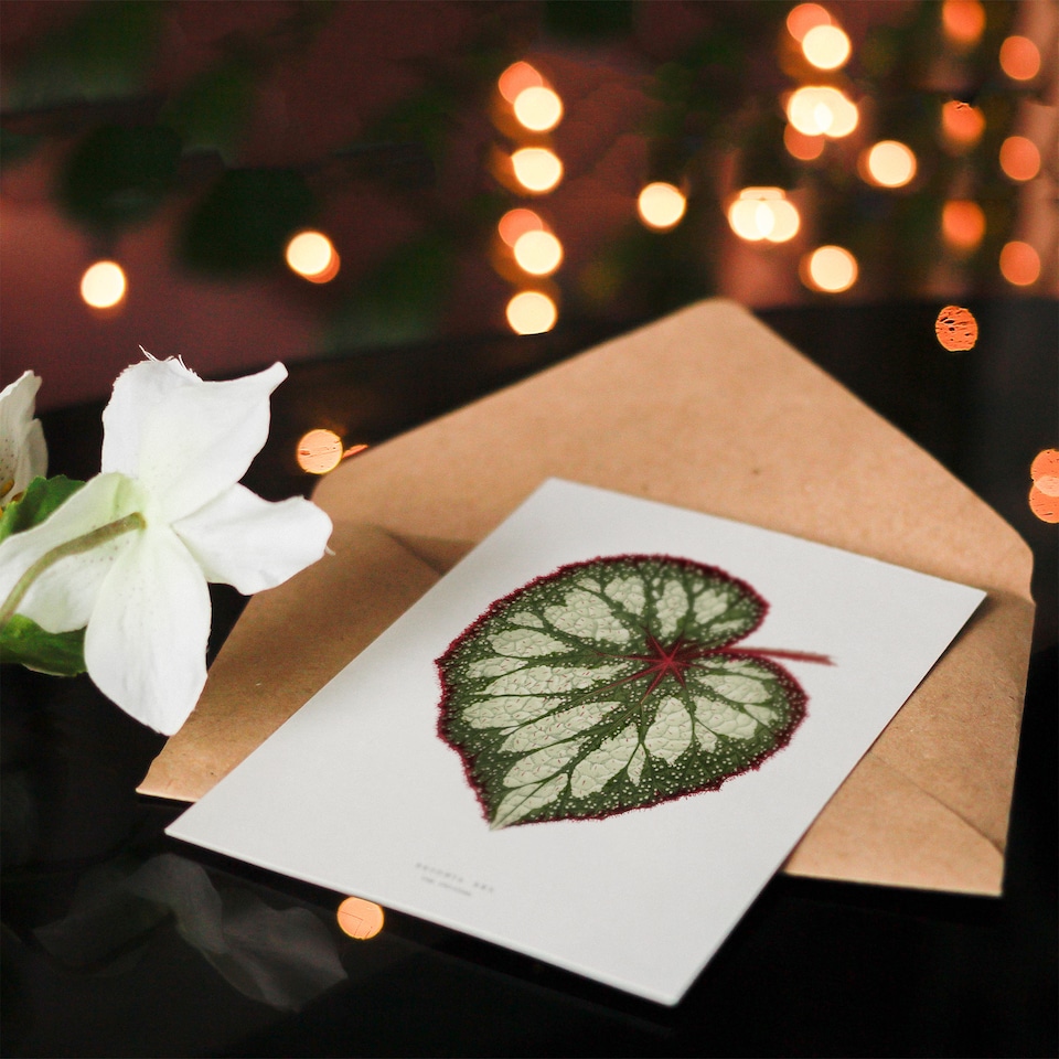 image 1 of AF Lydon Benjamin Fawcett Begonia Rex Leaf Art Greeting Card