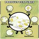 image 2 of VELVETIO Poppy Flower Duvet Cover Set Reversible Polycotton Easy Care Beddings Yellow | Super King