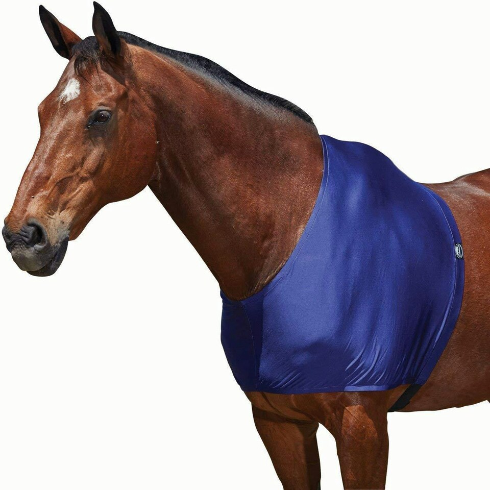 image 1 of Weatherbeeta Stretch Shoulder Guard - Navy - Pony