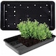 image 1 of 12 Heavy Duty Plastic Seed Trays With Strong Rim For Extra Rigidity Seedling