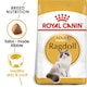 image 1 of Royal Canin Ragdoll Adult Dry Cat Food - 10 kg | Multi | 10kg | Fish, Rice | 1