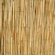 image 1 of Primrose Peeled Reed Natural Garden Privacy Screening Roll W4m x H1.8m