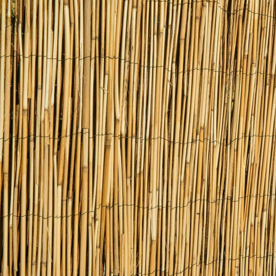 image 1 of Primrose Peeled Reed Natural Garden Privacy Screening Roll W4m x H1.8m
