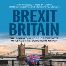 Brexit Britain Paperback Book