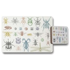 big set of insects bugs beetles and bees many species in vintage old hand drawn style (Placemat & Coaster Set)