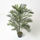 image 1 of Homescapes Areca Palm Tree in Pot, 120 cm Tall