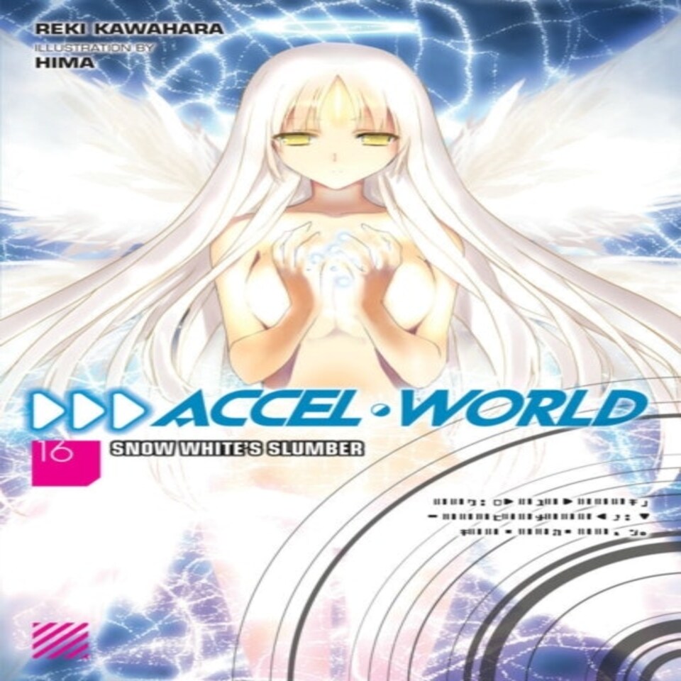 Accel World Vol. 16 (light Novel)