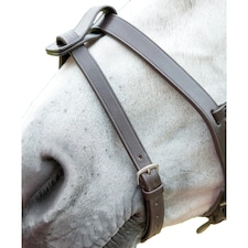 Blenheim Leather Horse Flash Strap - Havana - Pony